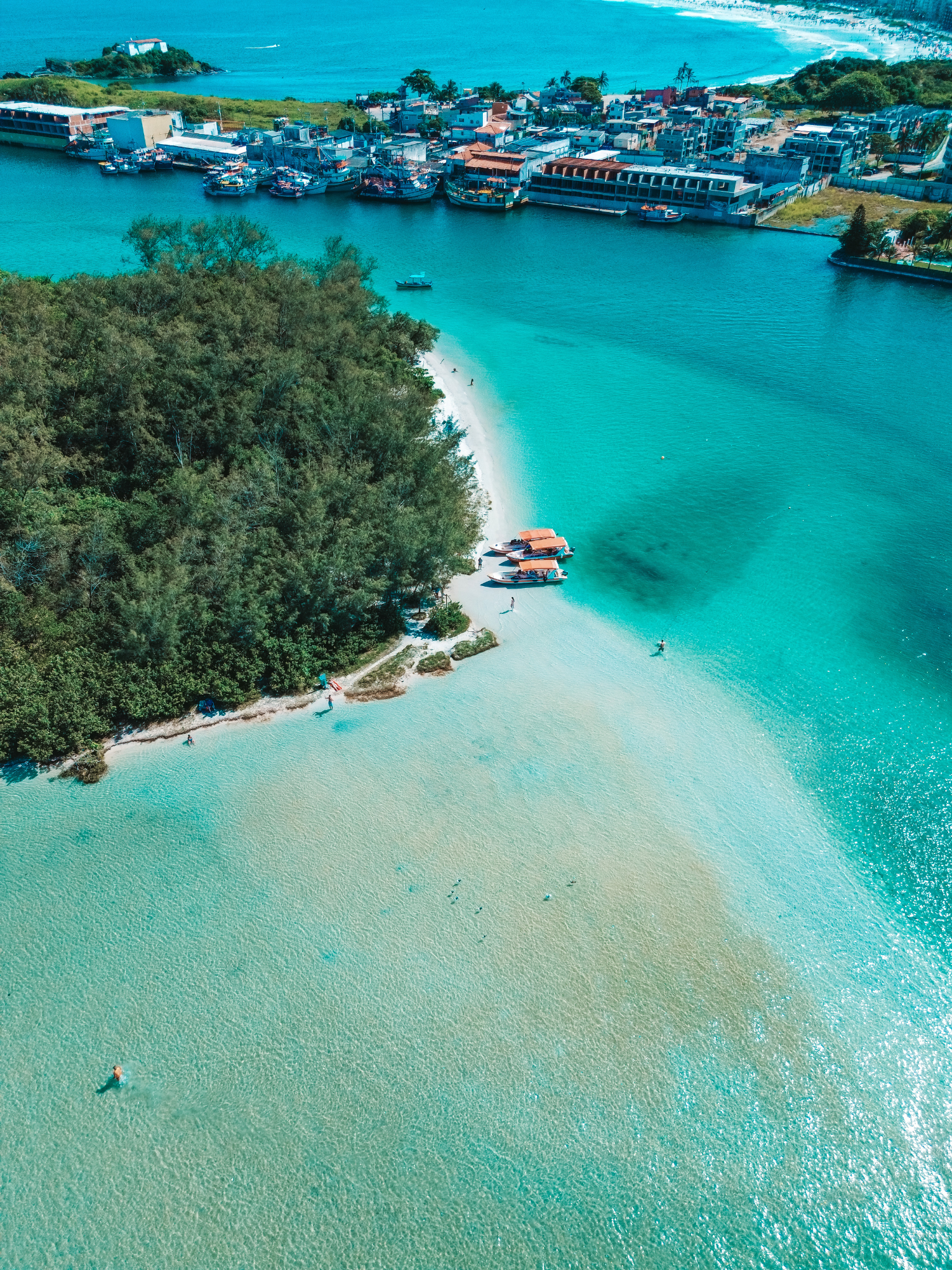 A stunning aerial view of surfers and palm trees on a vibrant tropical beach.