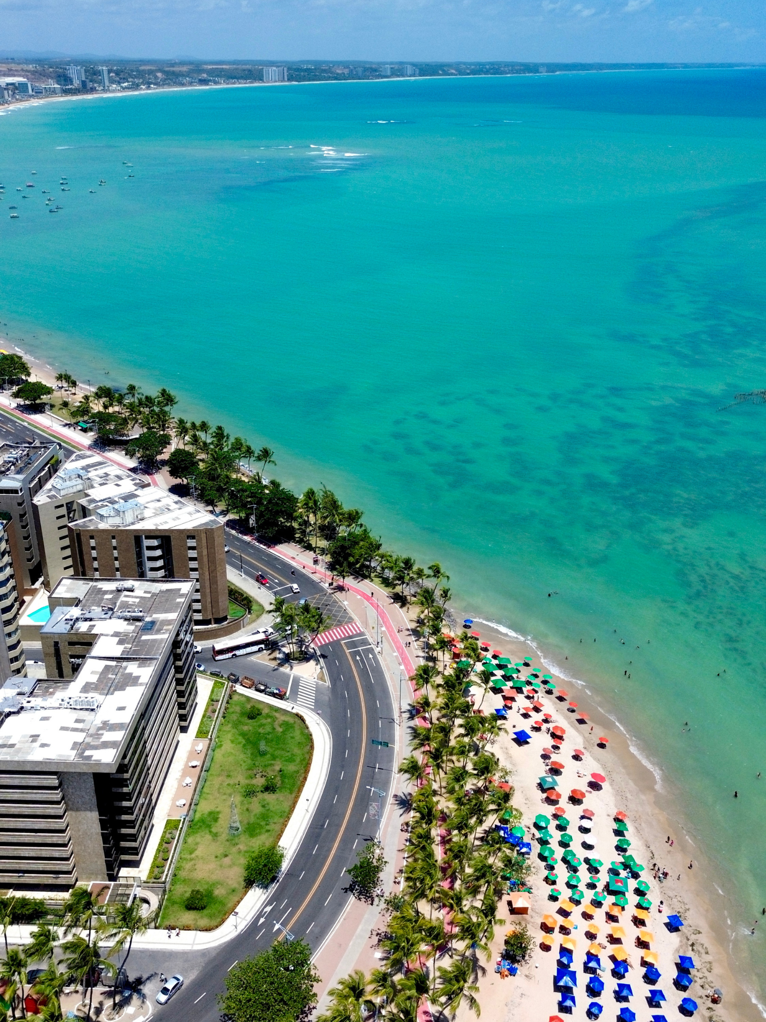 A stunning aerial view of surfers and palm trees on a vibrant tropical beach.