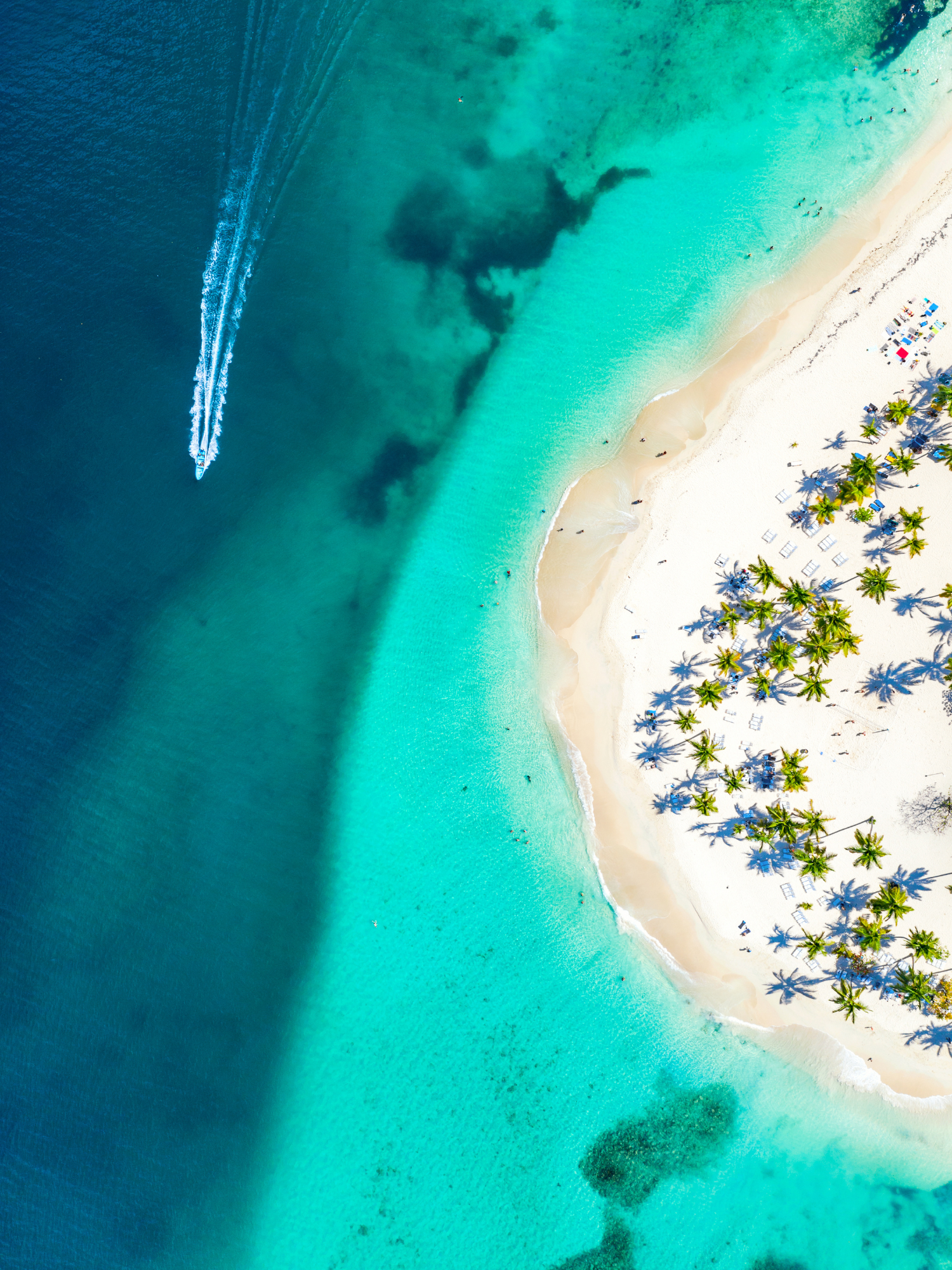 A stunning aerial view of surfers and palm trees on a vibrant tropical beach.