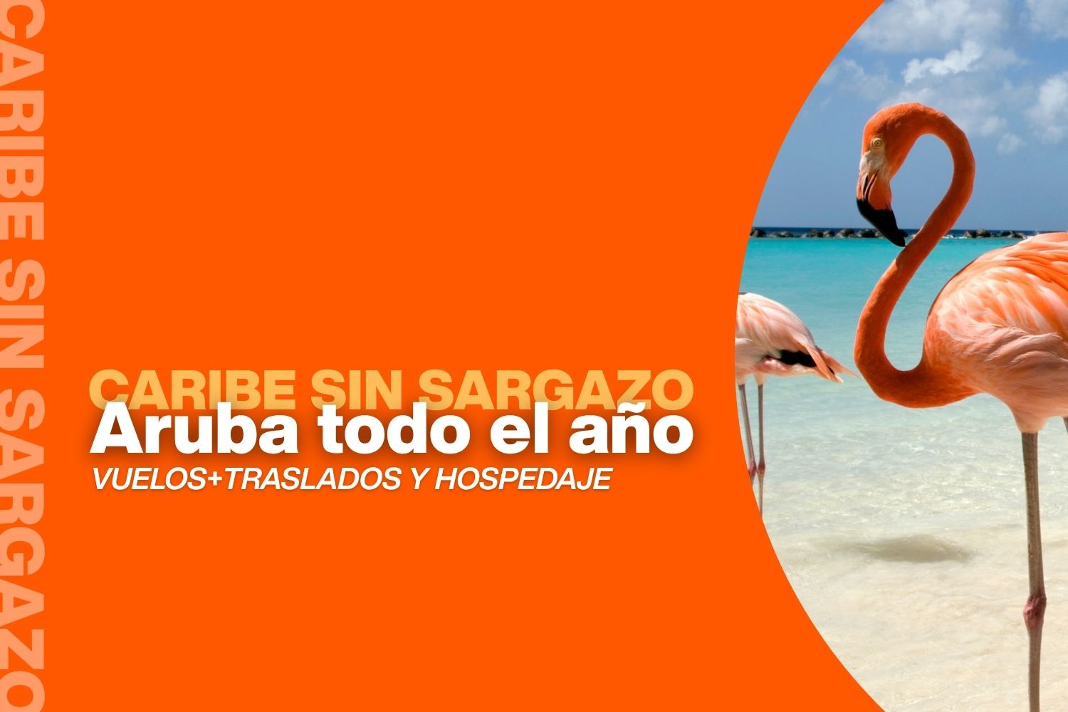 paquetes-aruba